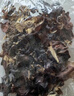 靜益樂(lè )源白背黑木耳干貨 山東特產(chǎn)精選頭茬木耳特級山珍干貨火鍋涼拌食材 精品木耳【凈重100g】 精選【二茬】毛木耳 曬單實(shí)拍圖