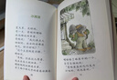 青蛙和蟾蜍 全4冊 幼兒圖書 繪本 早教書 兒童書籍 圖書 曬單實(shí)拍圖