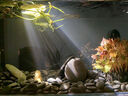 boxtech變焦水族射燈原生南美魚(yú)缸燈三湖水草龜缸LED燈夾燈夜燈三色燈 3W旋鈕款黃白三色-可夾1.9cm內玻璃變焦 曬單實(shí)拍圖