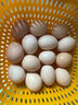 新鮮農家散養谷物雞蛋 谷飼喂養鮮雞蛋土雞蛋現撿 30枚1200g 曬單實(shí)拍圖