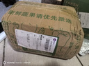 老農車(chē)田間冰淇淋紅薯當天現挖廣東茂名一點(diǎn)紅番薯粉糯香甜爆皮新鮮地瓜發(fā)貨 【精選中果】口感適中 5斤 曬單實(shí)拍圖