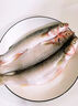祥釣翁鯔魚(yú)專(zhuān)用餌料咸淡水黑坑湖泊烏頭黑鯛白眼魚(yú)野釣腥香味四季通用型 買(mǎi)2 送1【90%魚(yú)友選擇】 曬單實(shí)拍圖