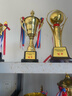 晨越 金屬大獎杯定制學(xué)校體育運動會獎品活動比賽紀(jì)念品金杯大號兒童賽事留念籃球足球團(tuán)體團(tuán)隊冠亞軍獎杯 請在詳情頁選擇款式 曬單實拍圖