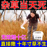 除草劑爛根除雜草一掃光三年不長(cháng)草除竹子大樹(shù)爛根強力除草專(zhuān)用 買(mǎi)2送1【強力爛根】 曬單實(shí)拍圖