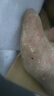 蓮山九鮮六鰲蜜薯正宗沙地黃心地瓜西瓜紅廣東甜薯番薯小香薯仔 凈重5斤中果（3-6兩） 曬單實(shí)拍圖