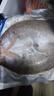 鮮城故事開(kāi)背龍斑魚(yú)3條裝(共1000g) 珠海金目鱸魚(yú) 地標 生鮮魚(yú)類(lèi) 源頭直發(fā) 曬單實(shí)拍圖
