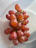 新疆克倫生無(wú)籽紅提馬奶提葡萄新鮮水果脆甜無(wú)核孕婦水果送禮整箱 2斤 嘗鮮裝丨無(wú)禮盒 曬單實(shí)拍圖