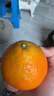 趣嘗鮮 四川愛(ài)媛38號果凍橙 凈重8斤 單枚170g起 源頭直發(fā) 一件包郵 曬單實(shí)拍圖