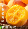 三萌果蔬山東蒙陰黃桃 當季新鮮黃金蜜毛油桃水果現摘次日達桃子送禮 5斤嚴選裝【品質(zhì)嚴選】?jì)?.5斤 曬單實(shí)拍圖