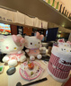 Hello Kitty三麗鷗毛絨玩具布娃娃抱枕玩偶生日禮物 25cm清新淘淘玉桂狗公仔 曬單實(shí)拍圖