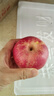 2025新果煙臺正宗紅富士蘋(píng)果水果新鮮當季脆甜蘋(píng)果冰糖心批發(fā) 帶箱10斤（70-85mm） 曬單實(shí)拍圖