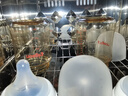 貝親（Pigeon）新生兒 防脹氣寬口徑PPSU奶瓶160ml SS號奶嘴 0個(gè)月+AA261  曬單實(shí)拍圖