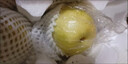 青皇冠梨翠冠梨新鮮水果脆甜多汁皮薄肉厚冀果田1 凈重5斤 曬單實(shí)拍圖