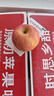 京鮮生 陜西洛川紅富士蘋(píng)果凈重8.5斤  單果75-80mm 源頭直發(fā) 曬單實(shí)拍圖