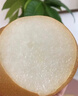 正宗秋月梨安徽碭山梨新鮮梨子當季現摘非萊陽(yáng)冰糖梨雪梨蜜梨水果 4.5-5斤（約5-6枚）普通快遞 曬單實(shí)拍圖