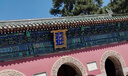 迪普爾 304不銹鋼鍋刷神器廚房專(zhuān)用清潔刷洗鍋碗鋼絲刷家用廚具清潔 曬單實(shí)拍圖