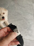 petlimit寵物狗狗牌項圈刻字定制名牌小狗中大型犬脖圈頸圈防丟失身份吊牌 黑色太空棉項圈+狗牌 M-中型 曬單實(shí)拍圖