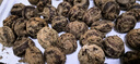 廣西馬蹄  荔浦荸薺 現挖現發(fā) 地梨地栗 時(shí)令新鮮 精選特大5斤9斤 5斤大果 曬單實(shí)拍圖