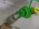 竹葉青酒 露酒 玻竹 38度475mL 單瓶 口糧酒 山西杏花村汾酒 曬單實拍圖