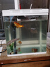 寵街坊玻璃魚(yú)缸過(guò)濾器三合一水泵增氧泵水族箱桌面客廳送禮生態(tài)魚(yú)缸380 曬單實(shí)拍圖