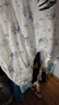 巴拉巴拉balaOne嬰兒睡袋寶寶睡衣新生兒柔軟親膚防踢被秋冬208425181201 曬單實(shí)拍圖