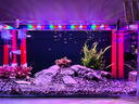 YEE全光譜魚(yú)缸燈水草燈魚(yú)缸夾燈水族箱專(zhuān)用爆藻led造景照明觀(guān)賞燈 15w/適合60-65cm魚(yú)缸 曬單實(shí)拍圖