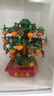 樂(lè )高（LEGO）積木玩具 節日限定系列 40648金錢(qián)樹(shù) 9歲+ 兒童玩具生日禮物 曬單實(shí)拍圖