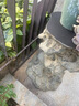 鎏銘中式花園太湖石底座石墩戶(hù)外庭院盆景別墅陽(yáng)臺露臺裝飾擺件 太湖石石墩泥色高款高60厘米 曬單實(shí)拍圖