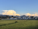 施華蔻（Schwarzkopf）男士洗發(fā)水 持久控油洗發(fā)露 控油去屑止癢 留香 3重控油 洗發(fā)水 男仕洗發(fā)水 450ml*1支 曬單實(shí)拍圖