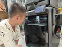 創(chuàng  )想三維K2 Combo 3D打印機桌面家用FDM全自動(dòng)調平大尺寸多色模型高速3d打印機器  曬單實(shí)拍圖