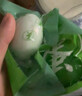 【熱銷(xiāo)百萬(wàn)單】正宗咸鴨蛋50g/枚飽滿(mǎn)流油生鮮超市早餐新鮮即食 【三胎家庭裝】30枚 曬單實(shí)拍圖