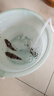 森森魚(yú)缸增氧泵水族箱氧氣泵LQE-100家用小型充氧泵4W單孔+全套配件 曬單實(shí)拍圖