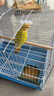 貝初眾鳥(niǎo)籠鸚鵡籠鴿子籠雞籠家用小型鳥(niǎo)站桿鳥(niǎo)籠中大型號鳥(niǎo)窩籠子別墅 白色中號40*30*30(送食盒站桿) 超大寵物別墅精致生活 折疊免安裝方便收納 多功能設計滿(mǎn)足你的需求 曬單實(shí)拍圖