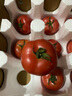 京鮮生沙瓤粉西紅柿 凈重3斤 單果100g+果菜兩吃 源頭直發(fā) 【搜生鮮館】 曬單實(shí)拍圖