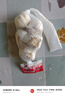大蒜精裝出口蒜出蔬菜水果調料牛肉生蠔小龍蝦食材 出口標準網(wǎng)兜裝袋5頭 110g 中果直徑4cm 曬單實(shí)拍圖