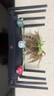 普聯(lián)（TP-LINK） BE7200 WiFi7千兆雙頻無線路由器 7200M電競(jìng)游戲加速 全屋組網(wǎng) 9顆高效FEM 5個(gè)2.5G網(wǎng)口 7DR7260 曬單實(shí)拍圖