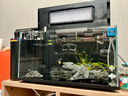 AMTRA TECHNIK德國安彩壁掛過(guò)濾器ex450魚(yú)缸過(guò)濾器龜缸低水位 EX450 新版除油膜【內含濾材】 曬單實(shí)拍圖