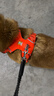 拉夫威爾ruffwear福朗特胸背狗狗胸背帶大小型犬拉布拉多背心式牽引背帶 火焰橘 XS 曬單實(shí)拍圖