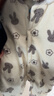 婧麒（JOYNCLEON）嬰兒衣服秋冬季保暖300g米粒絨夾棉寶寶連體衣新生兒加厚冬裝 灰色兔子 90cm 曬單實(shí)拍圖