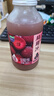 味動(dòng)力益生菌楊梅汁添加NFC東魁楊梅汁0脂果味飲料300ml*15瓶 整箱送禮 曬單實(shí)拍圖
