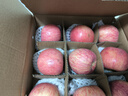 洛川蘋(píng)果陜西延安紅富士時(shí)令蘋(píng)果水果禮盒禮品蘋(píng)果生鮮新鮮脆甜整箱好吃 凈重4.5斤80-85mm鉑金果 彩箱裝 曬單實(shí)拍圖