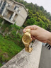 歐品客（Oupinke）金表男瑞士手表品牌十大名表男士高端鏤空機械表2025新款送老公足金真龍-帶鑒定證書(shū)-機械全金男 曬單實(shí)拍圖