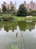 佳釣尼魚(yú)護速干魚(yú)護網(wǎng)黑坑加厚涂膠魚(yú)護包魚(yú)網(wǎng)兜袋漁護漁網(wǎng)兜 曬單實(shí)拍圖