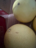 京鮮生 福建琯溪蜜柚2粒 單果凈重1.5-2斤 源頭直發(fā)包郵 曬單實(shí)拍圖