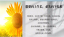 萬(wàn)薩華寶通指紋鎖電池智能門(mén)鎖鋰電池智能鎖電池防盜門(mén)電子鎖密碼鎖專(zhuān)用電池 ZNS-091(4200mAh) 曬單實(shí)拍圖