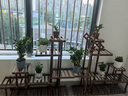 雙盟綠蘿盆栽除甲醛花卉綠植辦公室新房?jì)艋諝?120款10盆源頭直發(fā) 曬單實(shí)拍圖