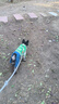 狗狗衣服四腳衣中小型犬牛仔撞色寵物貓咪寵物衣服秋冬保暖加厚 綠色 XL（11-13斤） 狗狗休閑牛仔一體拼色四腳衣 曬單實(shí)拍圖