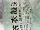 羞小情山茶花洗衣凝珠五合一濃縮洗衣液洗衣球速溶香氛持久留香去污 【強效潔凈】200顆袋裝 曬單實(shí)拍圖