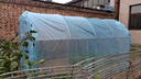 貝裝家用溫室花棚暖房大棚骨架陽(yáng)臺樓頂植物蔬菜防寒保暖陽(yáng)光棚陽(yáng)光房 2.5米寬 4米長(cháng) 2米高【送加厚膜】 曬單實(shí)拍圖