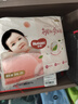 好奇（Huggies）鉑金裝小桃褲成長褲XXXL26片*4包(17kg以上)【消暑散熱】 曬單實拍圖